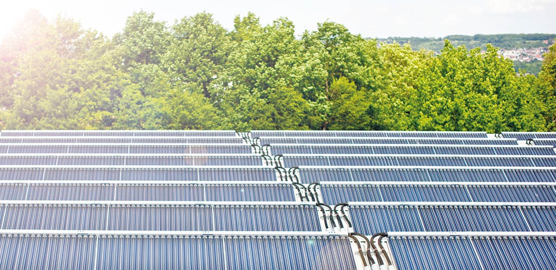 Kollektorfeld einer solaren Großanlage