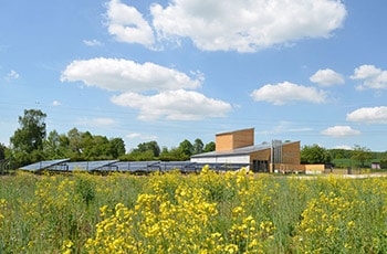 Ritter XL Solarthermiefeld in einem gelben Rapsfeld unter einem blauen Himmel