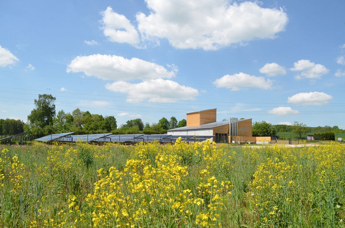Ritter XL Solarthermiefeld in einem gelben Rapsfeld unter einem blauen Himmel